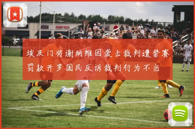 埃及门将谢纳维因袭击裁判遭禁赛罚款开罗国民反诉裁判行为不当