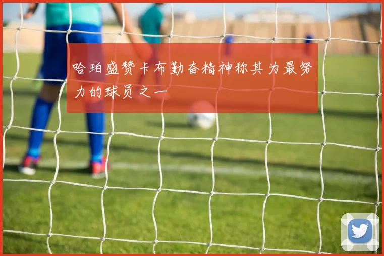 哈珀盛赞卡布勤奋精神称其为最努力的球员之一